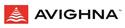 Avighna Group