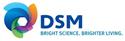 DSM India