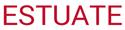 Estuate Software
