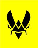 Team Vitality