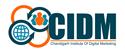 Chandigarh Institute of Digital Marketing (CIDM)