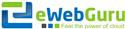 eWebGuru
