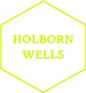 Holborn Wells India