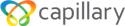 Capillary Technologies