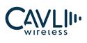 Cavli Wireless