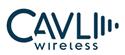 Cavli Wireless