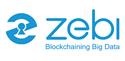 Zebi Data India Pvt Ltd